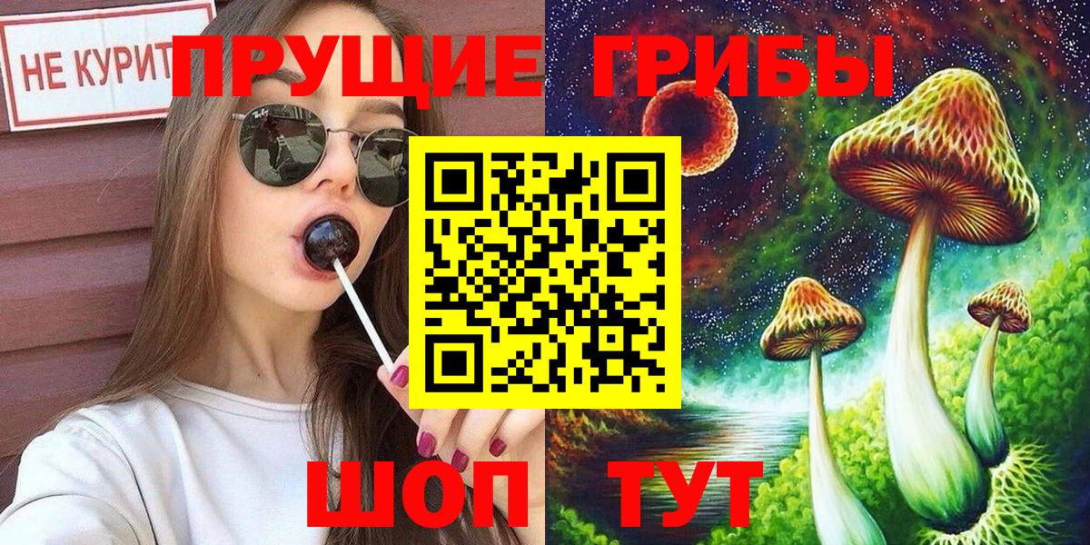 Богородск  Галлюциногенные грибы MAGIC MUSHROOMS  Вход с VPN  Галлюциногенные грибы прущие грибы 