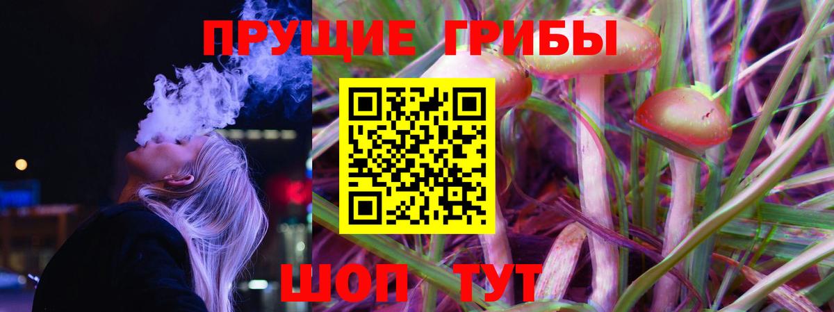 Псилоцибиновые грибы Magic Shrooms Богородск